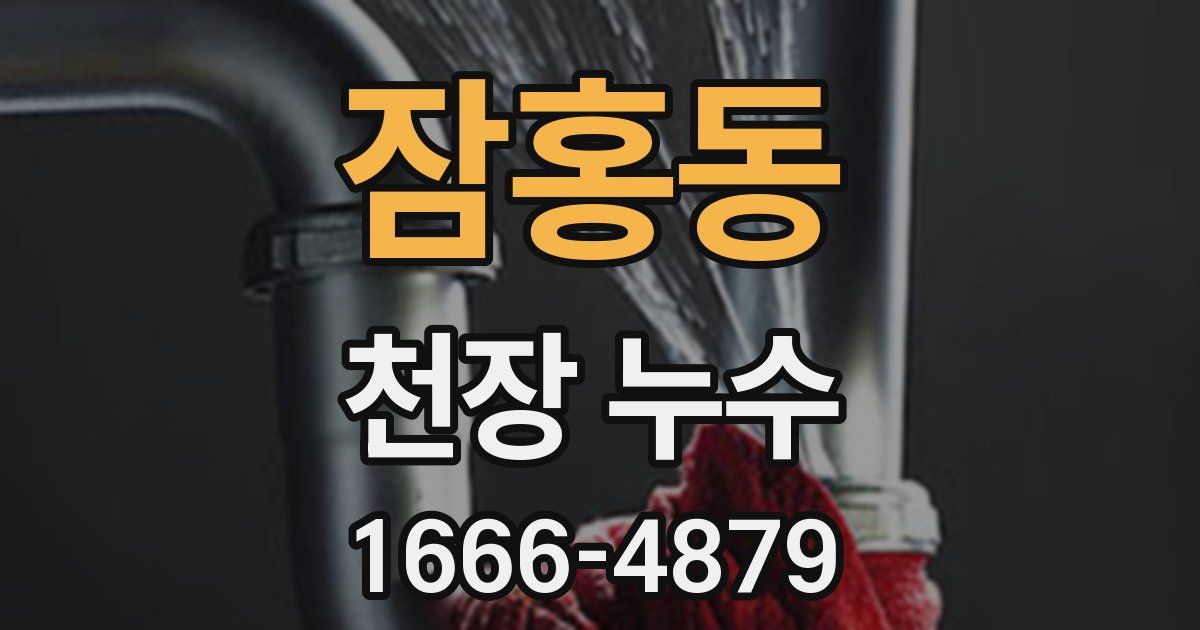 잠홍동 천장 누수