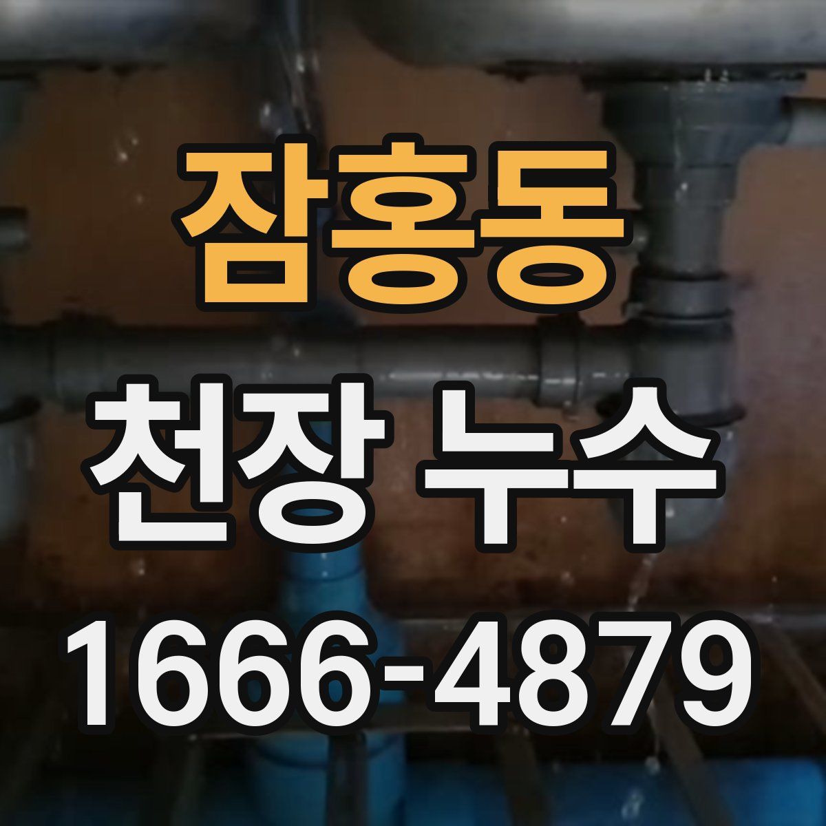 잠홍동 천장 누수