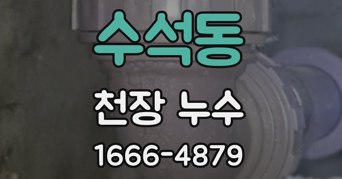 수석동 천장 누수