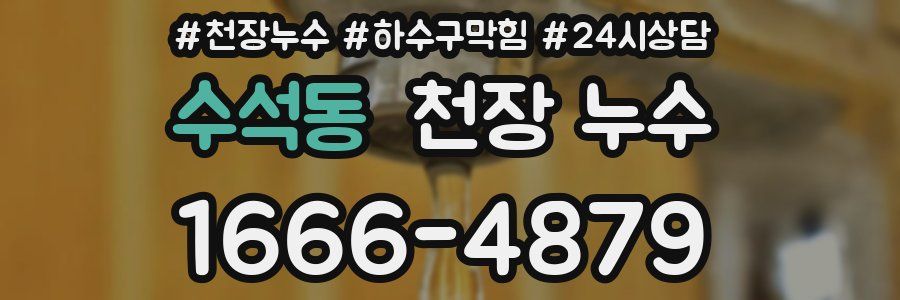 수석동 천장 누수