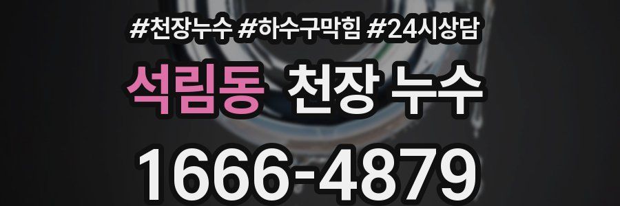 석림동 천장 누수