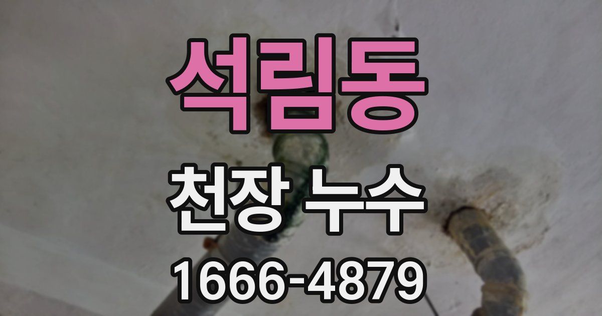 석림동 천장 누수
