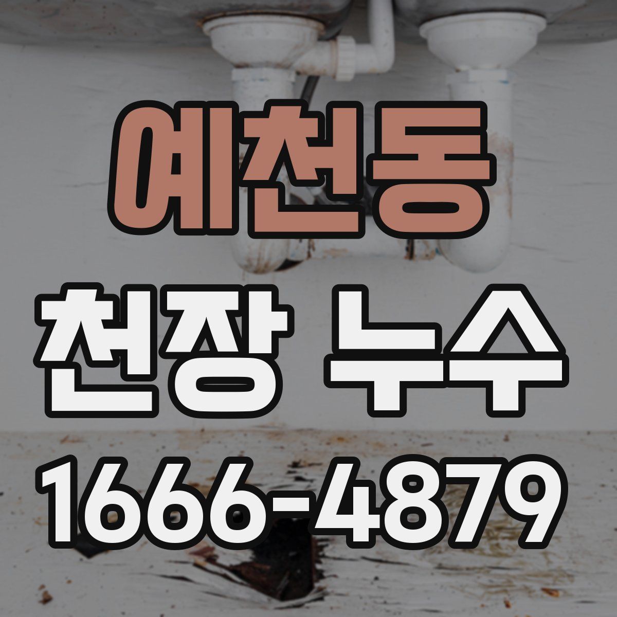 예천동 천장 누수