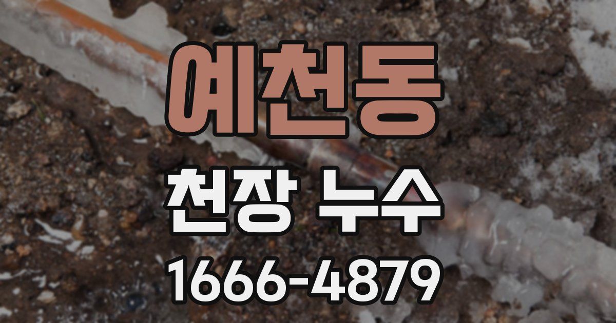 예천동 천장 누수