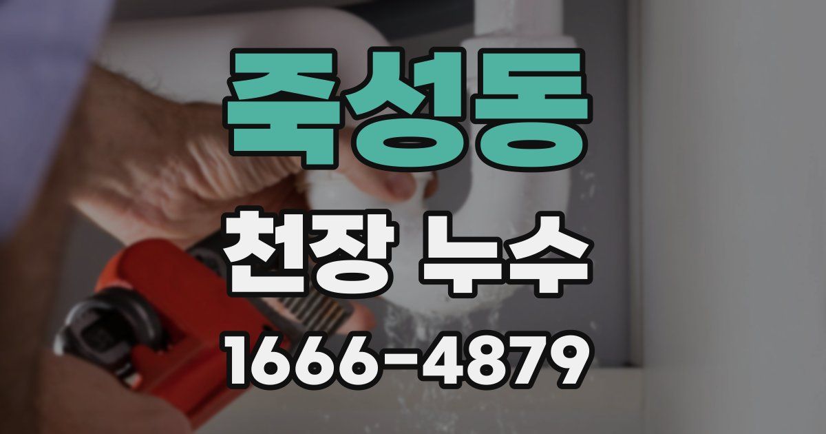 죽성동 천장 누수