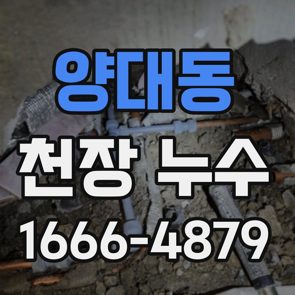 양대동 천장 누수