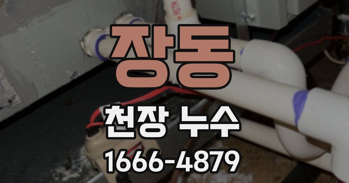 장동 천장 누수