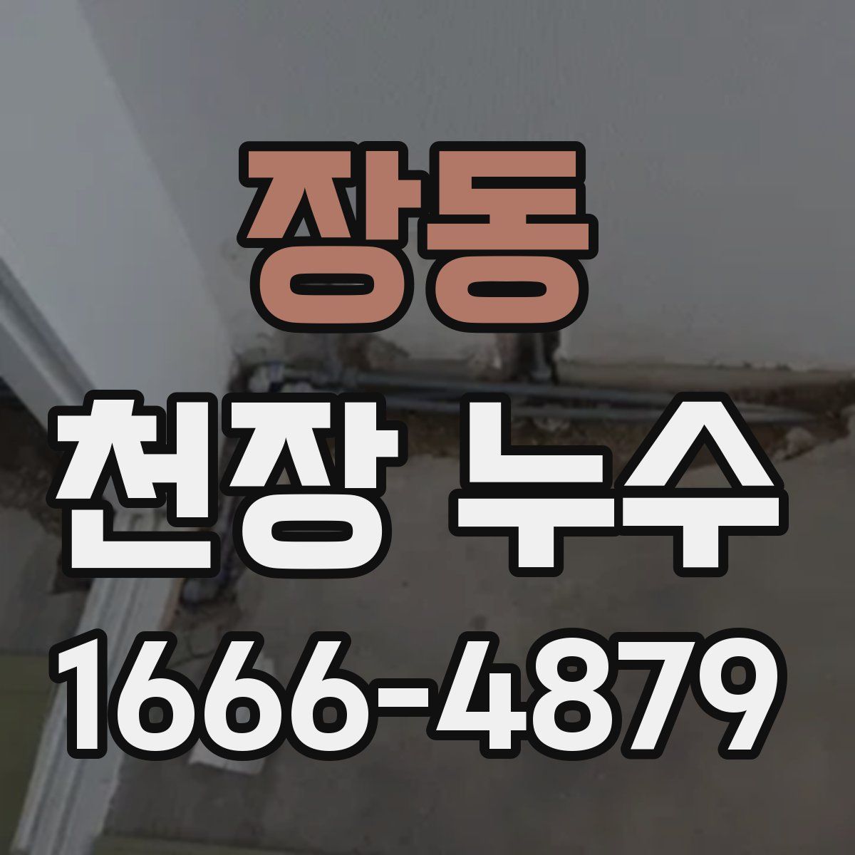 장동 천장 누수