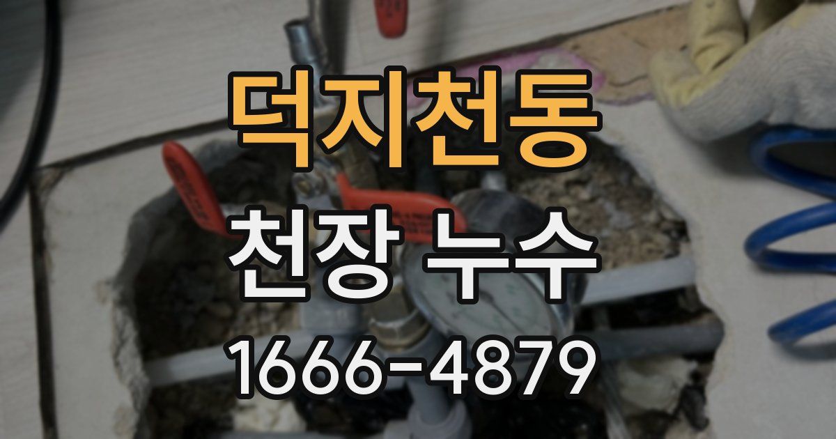 덕지천동 천장 누수