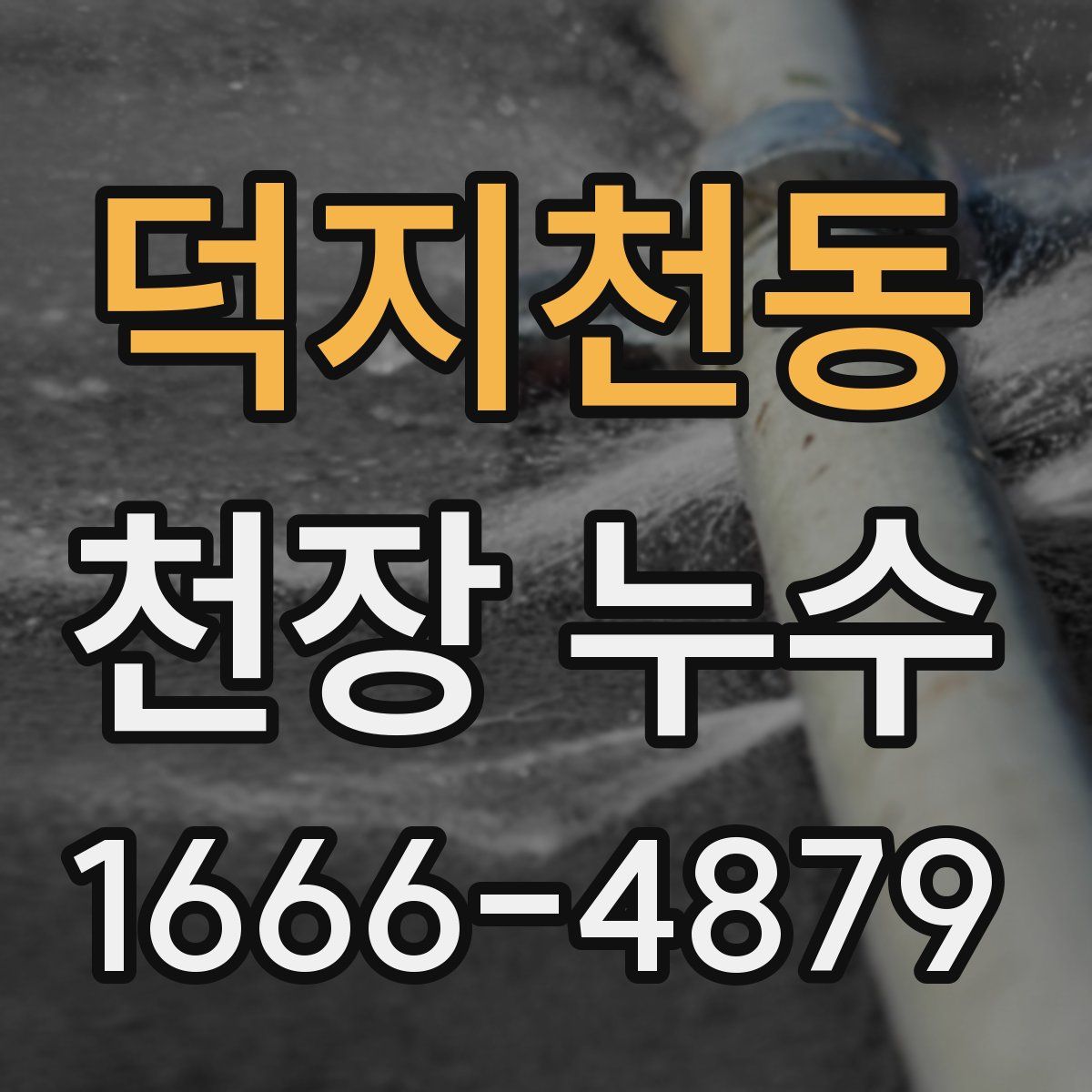 덕지천동 천장 누수