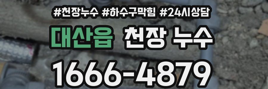 대산읍 천장 누수