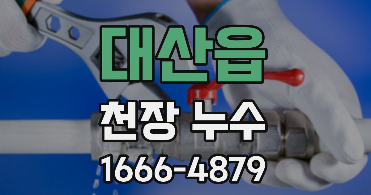 대산읍 천장 누수