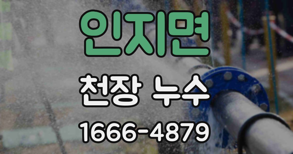 인지면 천장 누수