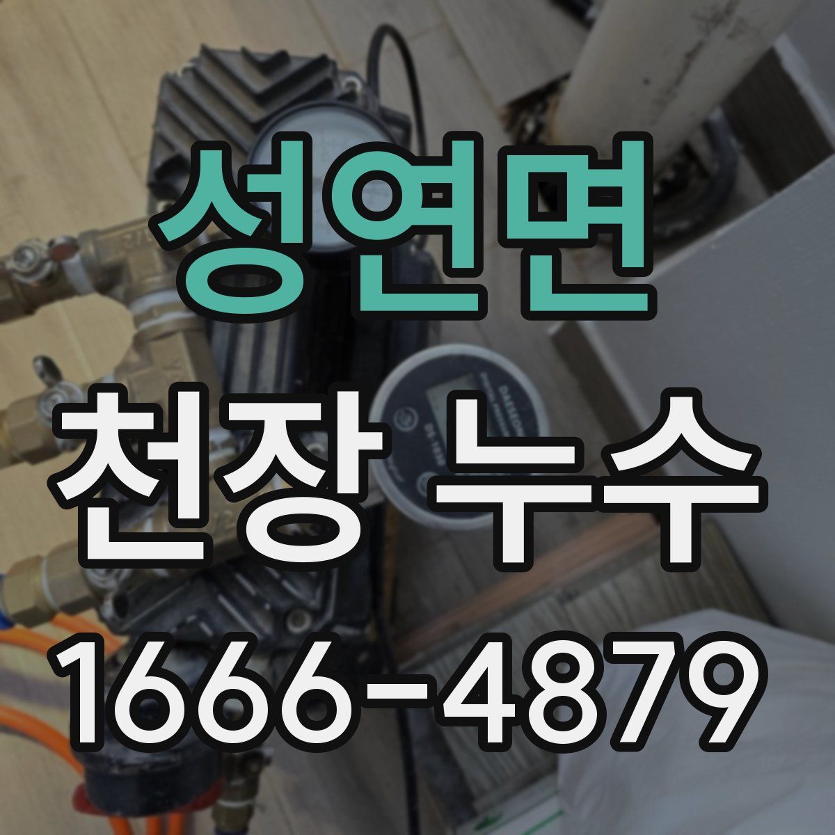 성연면 천장 누수