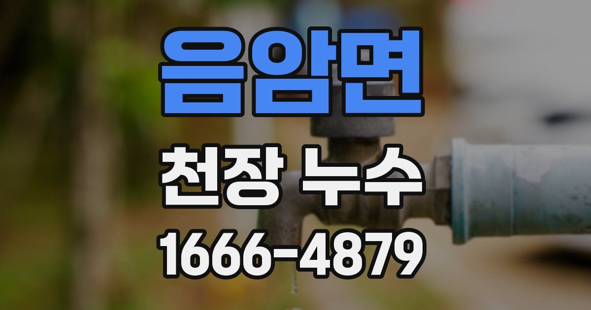 음암면 천장 누수