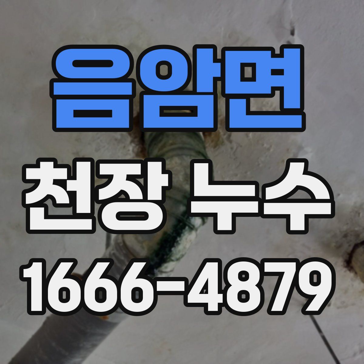 음암면 천장 누수