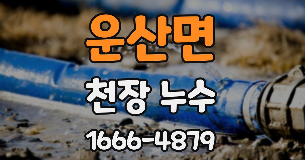 운산면 천장 누수