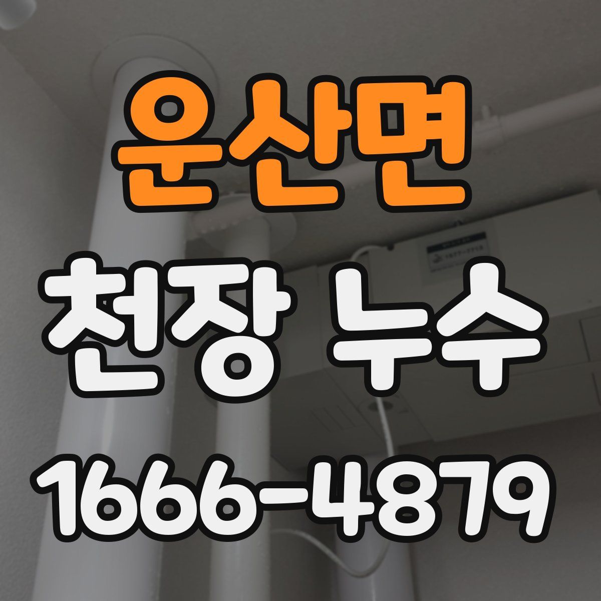 운산면 천장 누수