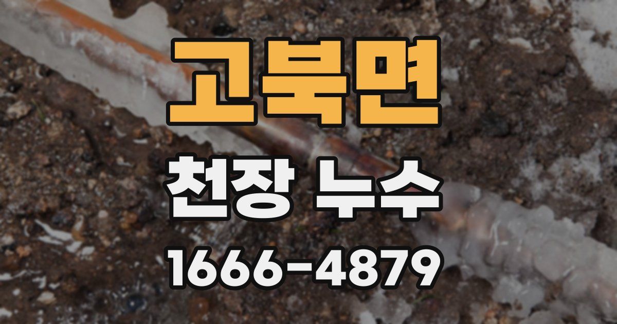 고북면 천장 누수