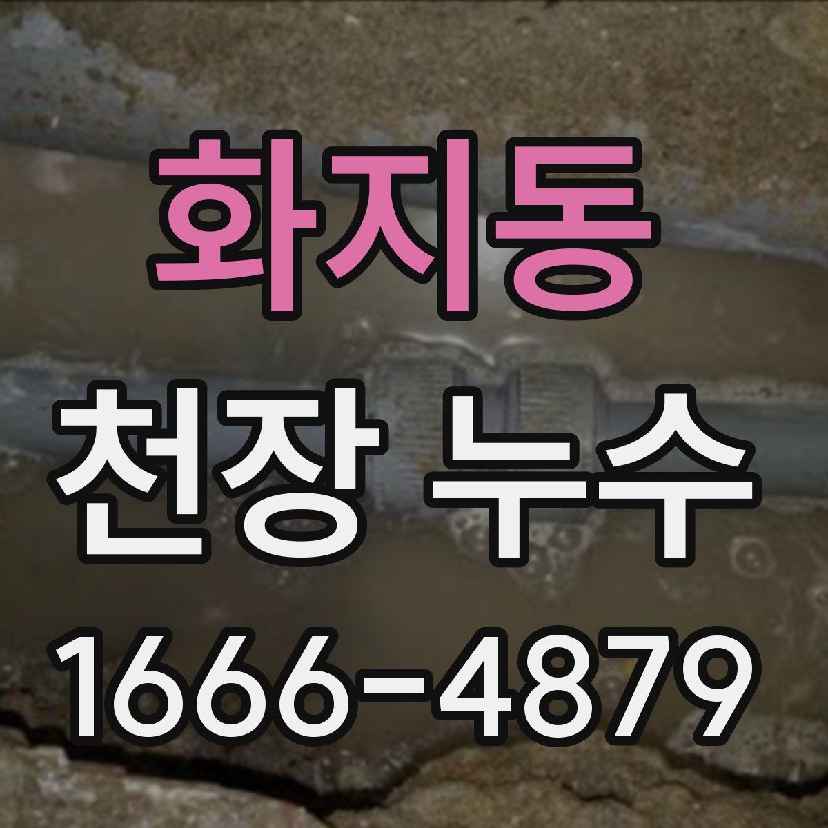 화지동 천장 누수