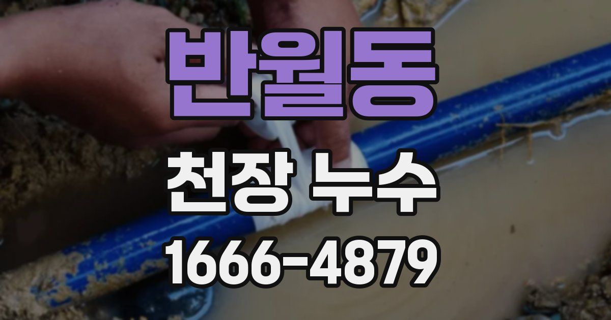 반월동 천장 누수