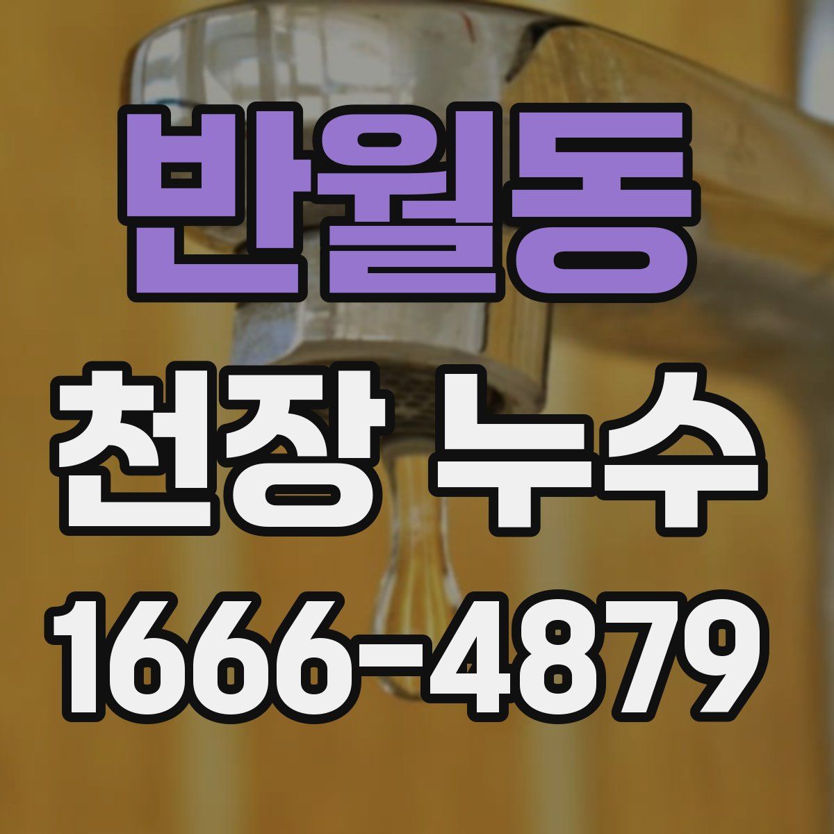 반월동 천장 누수