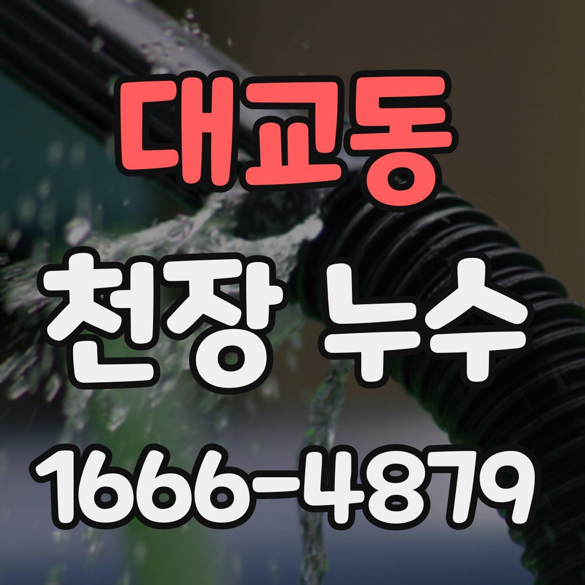 대교동 천장 누수