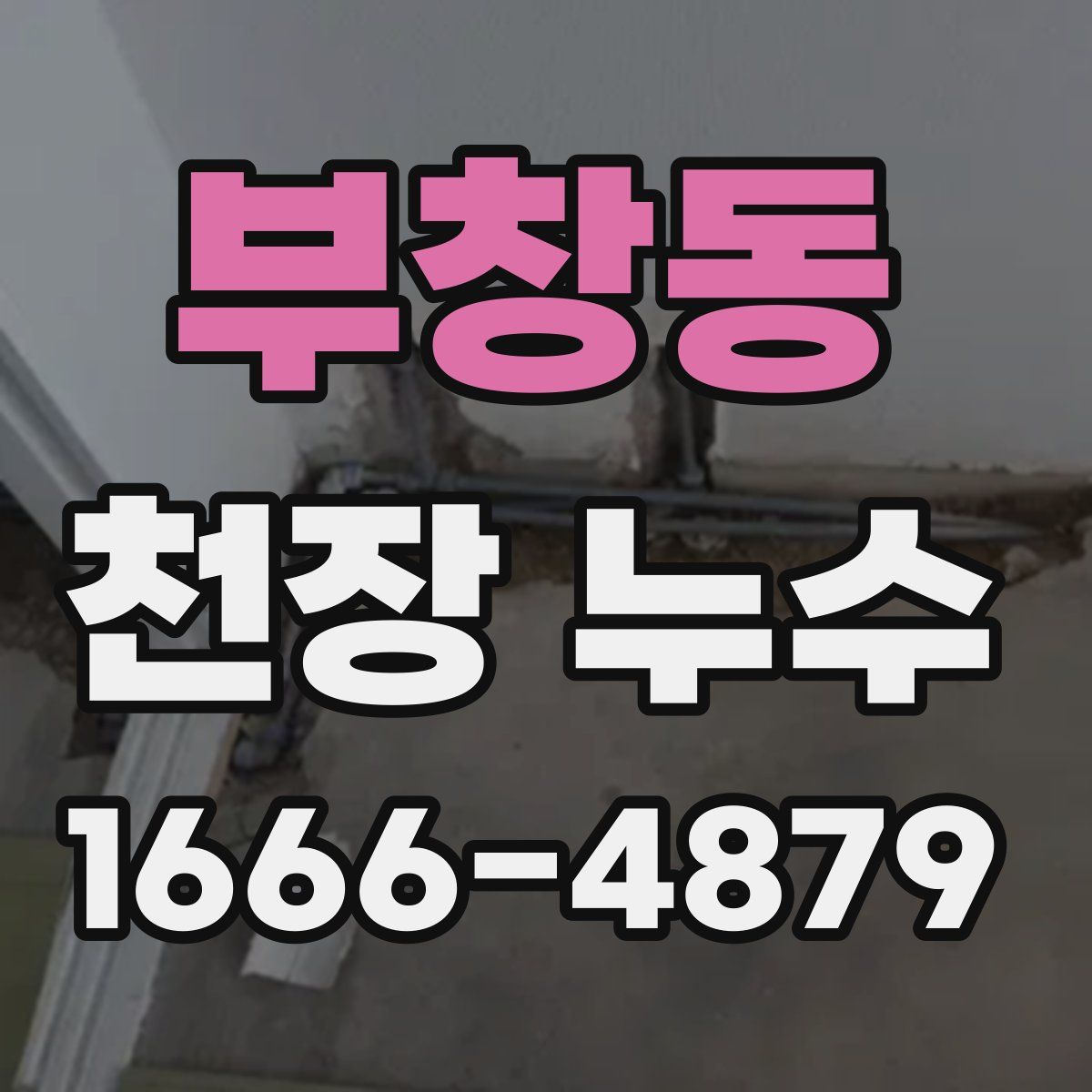 부창동 천장 누수