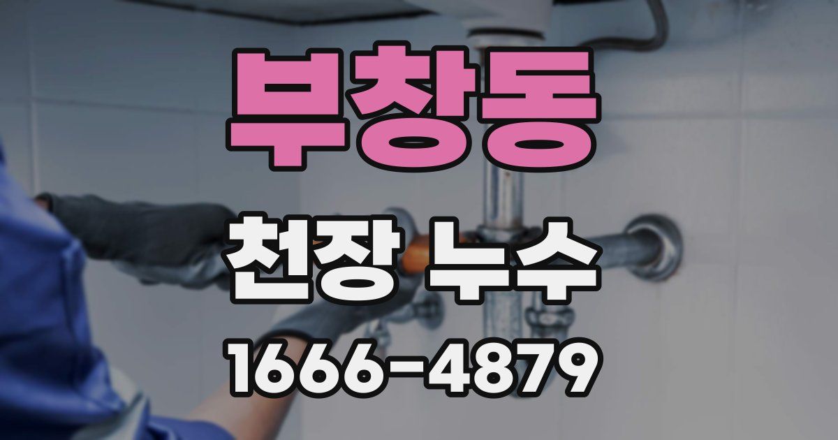 부창동 천장 누수