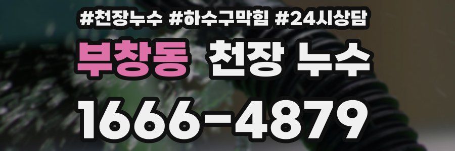 부창동 천장 누수