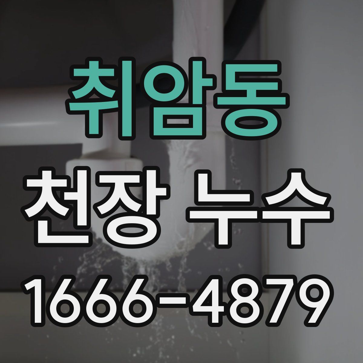 취암동 천장 누수