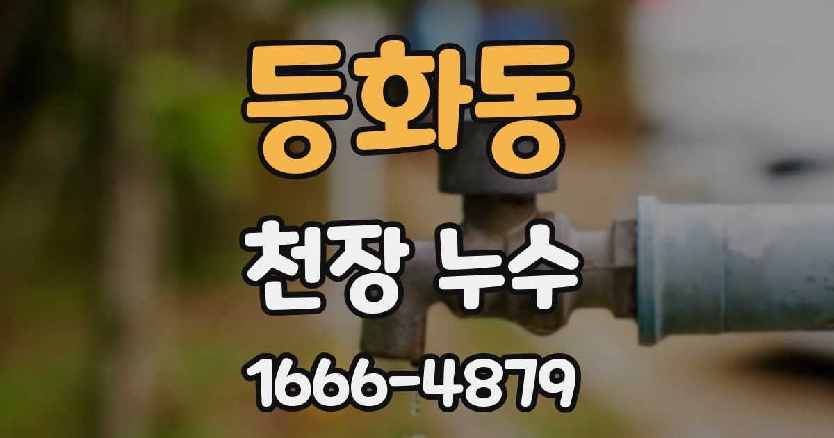 등화동 천장 누수