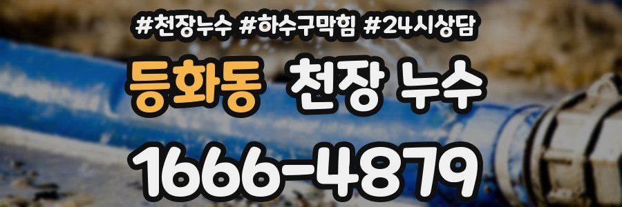 등화동 천장 누수