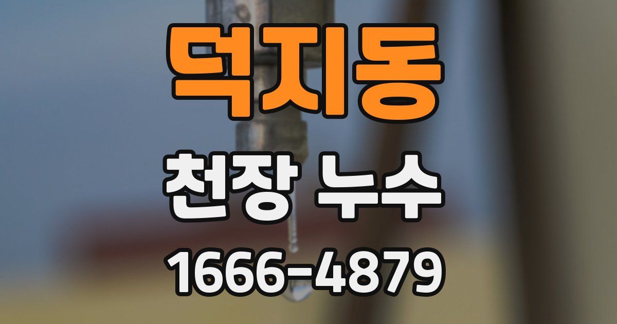 덕지동 천장 누수