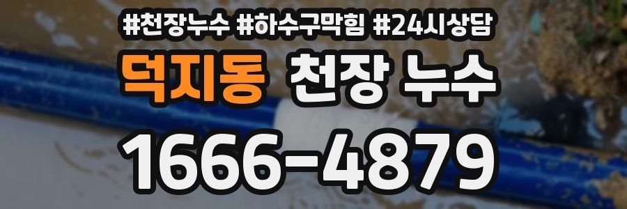 덕지동 천장 누수