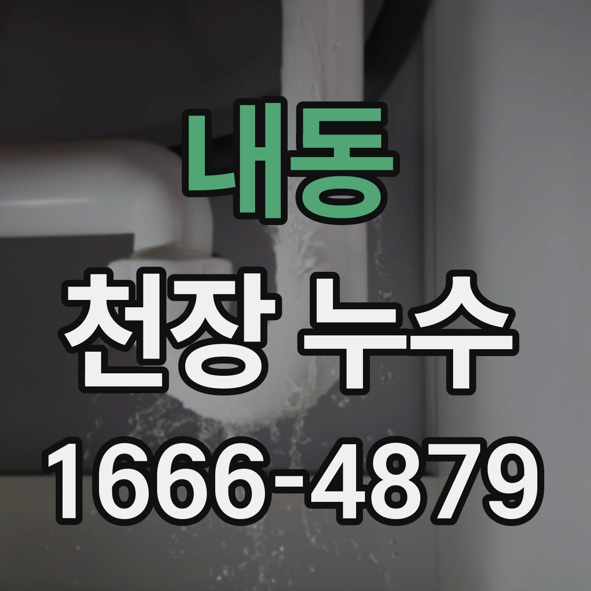 내동 천장 누수