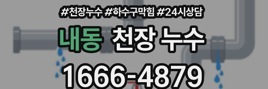 내동 천장 누수