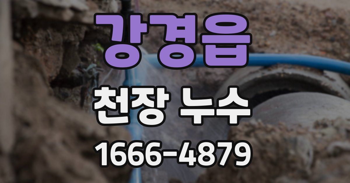 강경읍 천장 누수