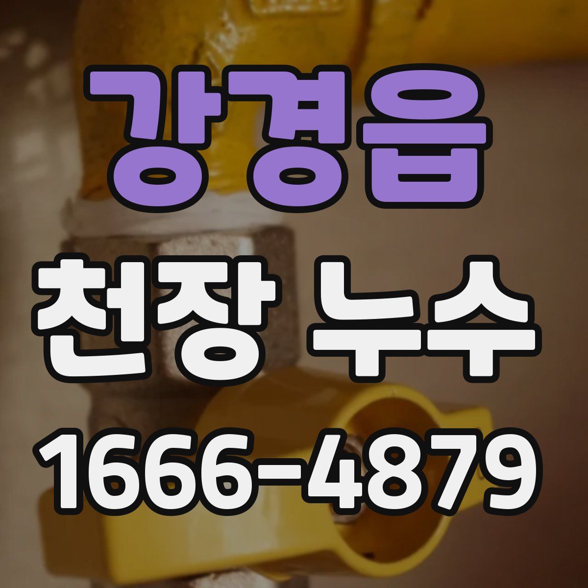 강경읍 천장 누수