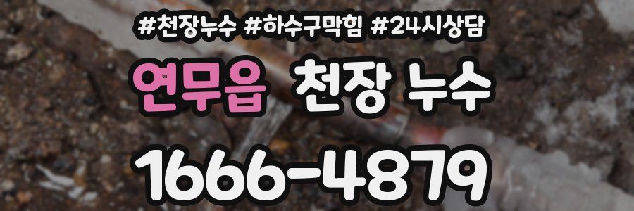 연무읍 천장 누수