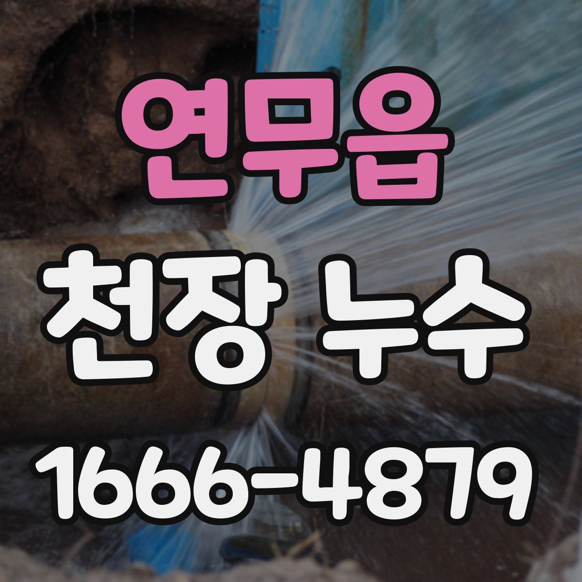 연무읍 천장 누수