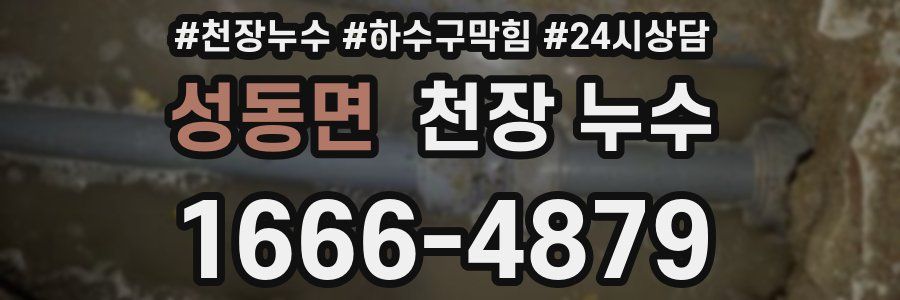 성동면 천장 누수