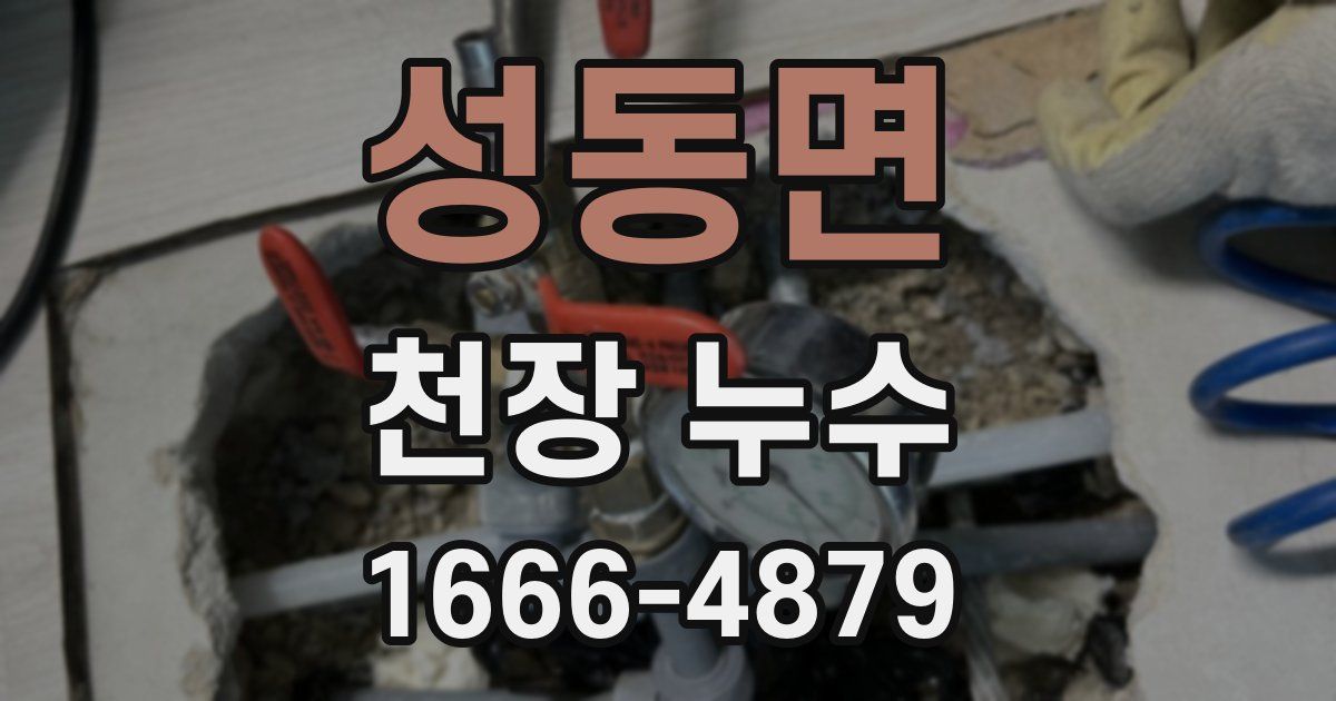 성동면 천장 누수