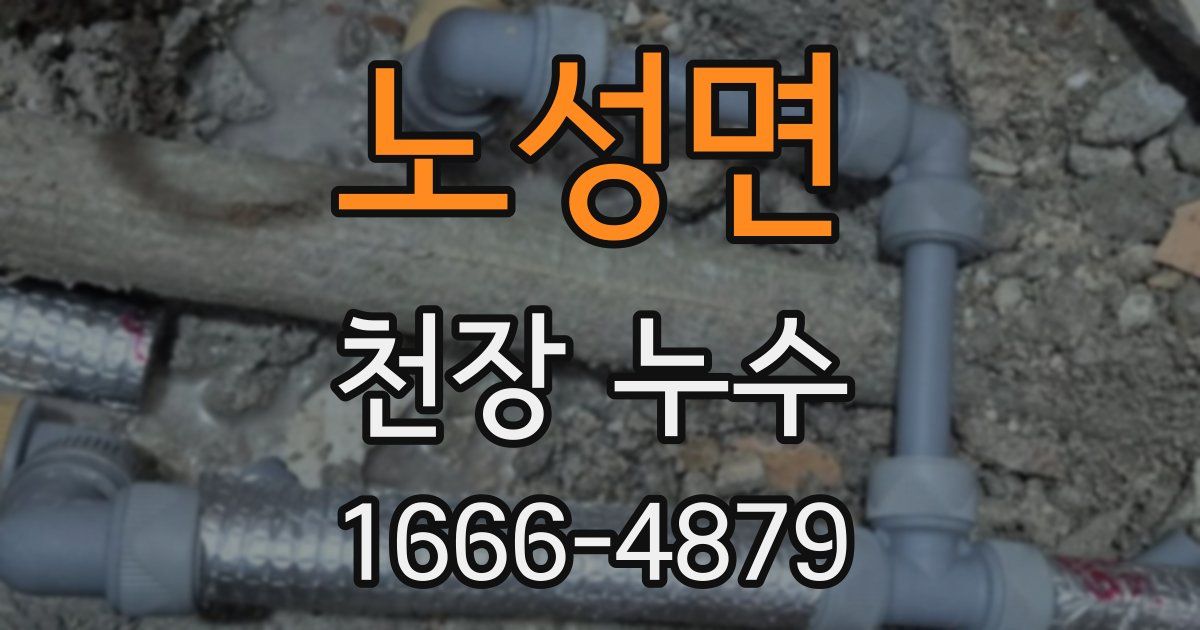 노성면 천장 누수