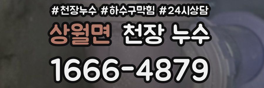 상월면 천장 누수