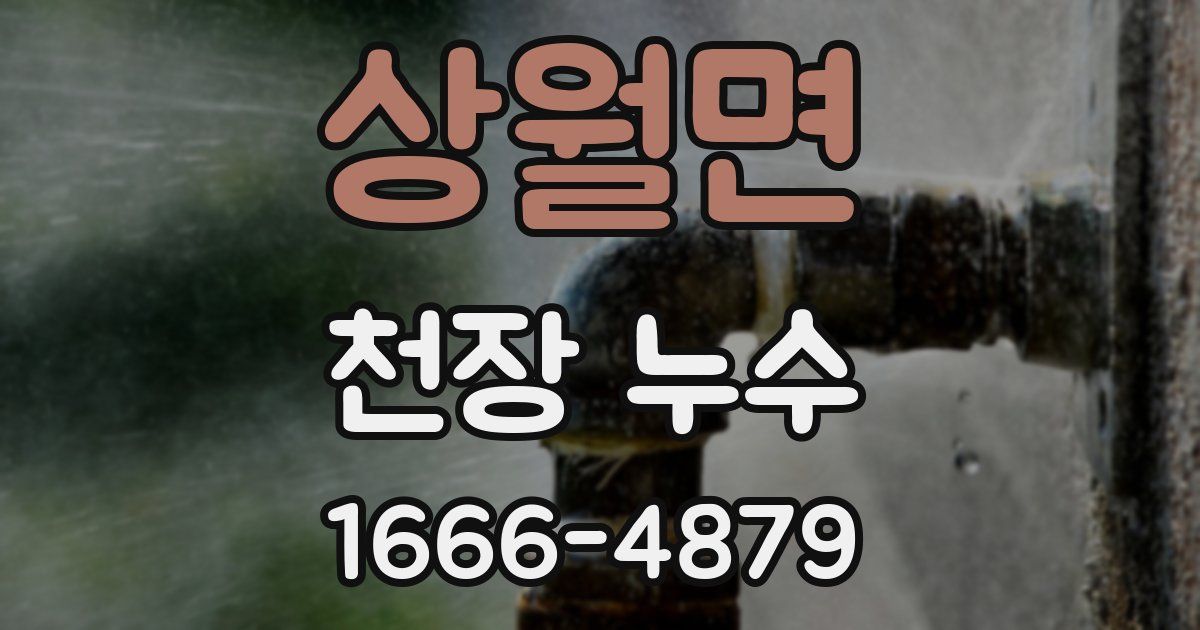 상월면 천장 누수