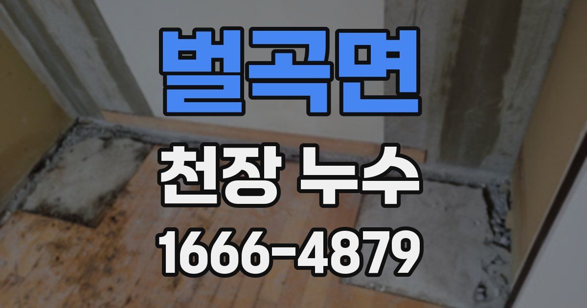 벌곡면 천장 누수