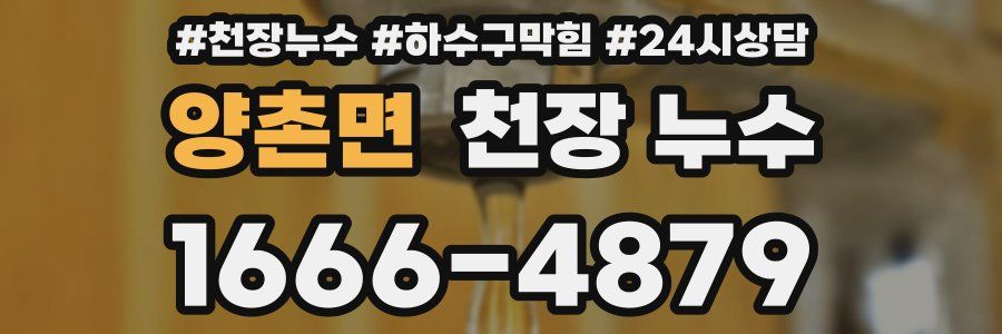 양촌면 천장 누수