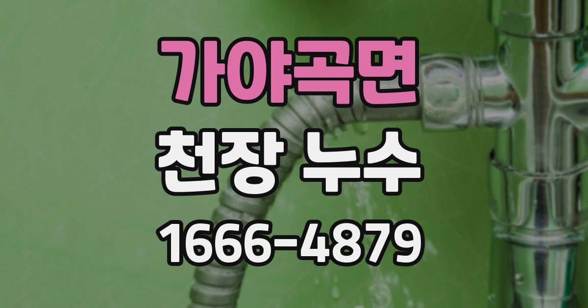 가야곡면 천장 누수