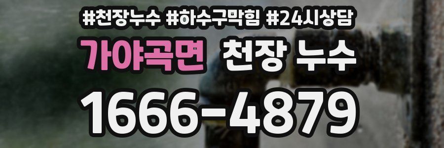 가야곡면 천장 누수